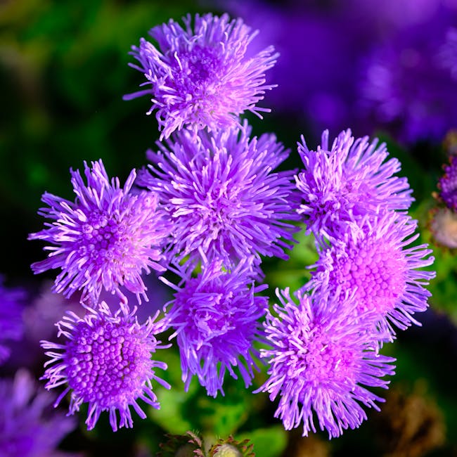 Legal office environment